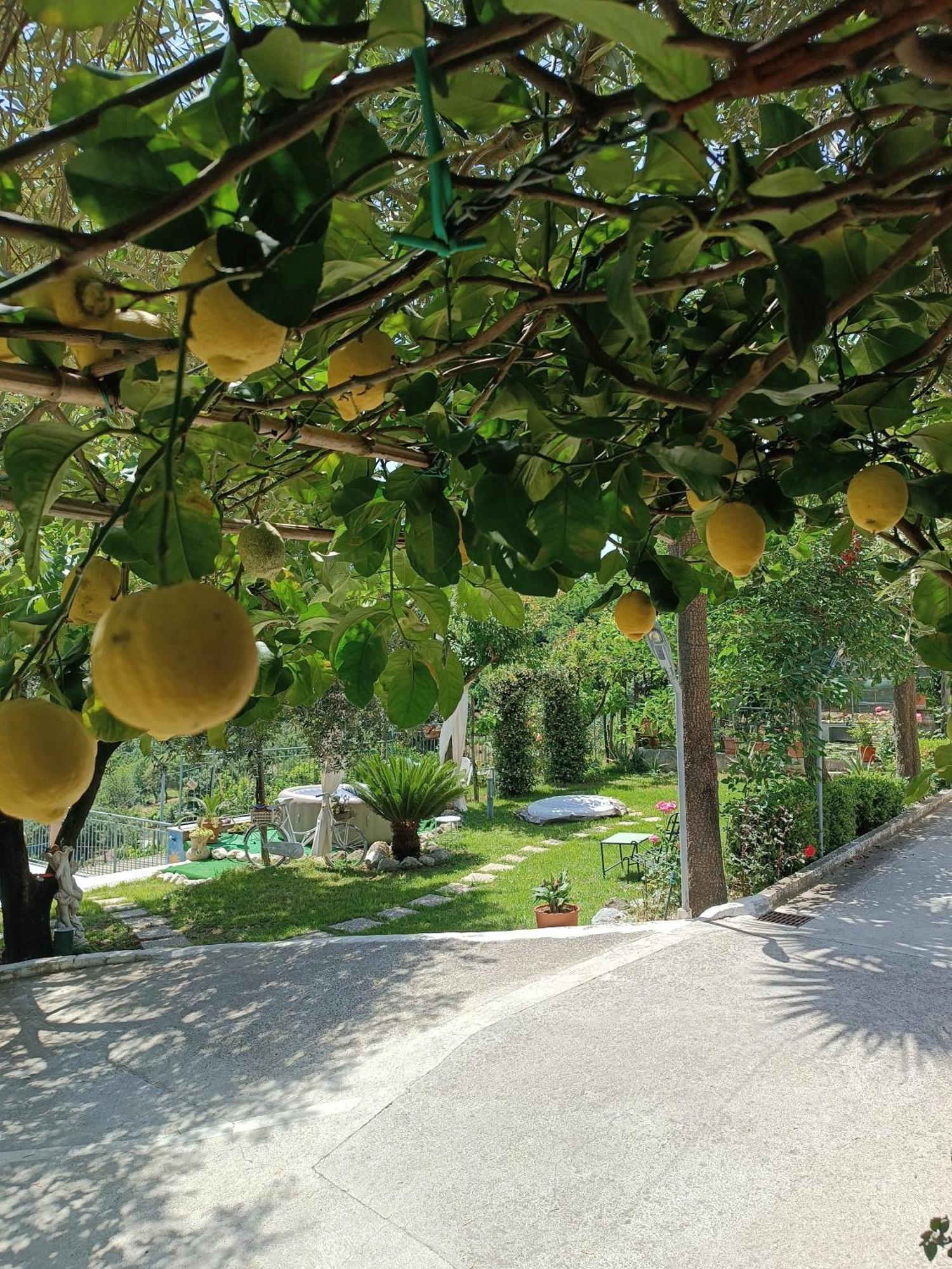 La Roccia Incantata Amalfi Coast Vietri Exterior foto